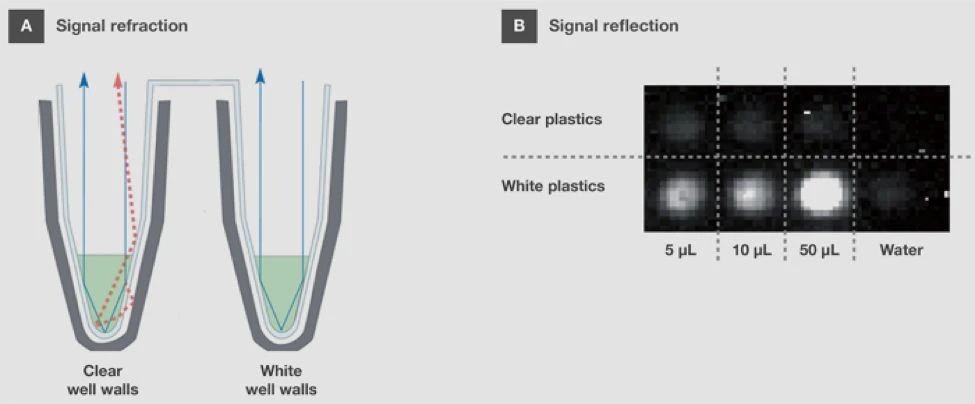 clear-pcr-plate-and-white-well-walls.jpg