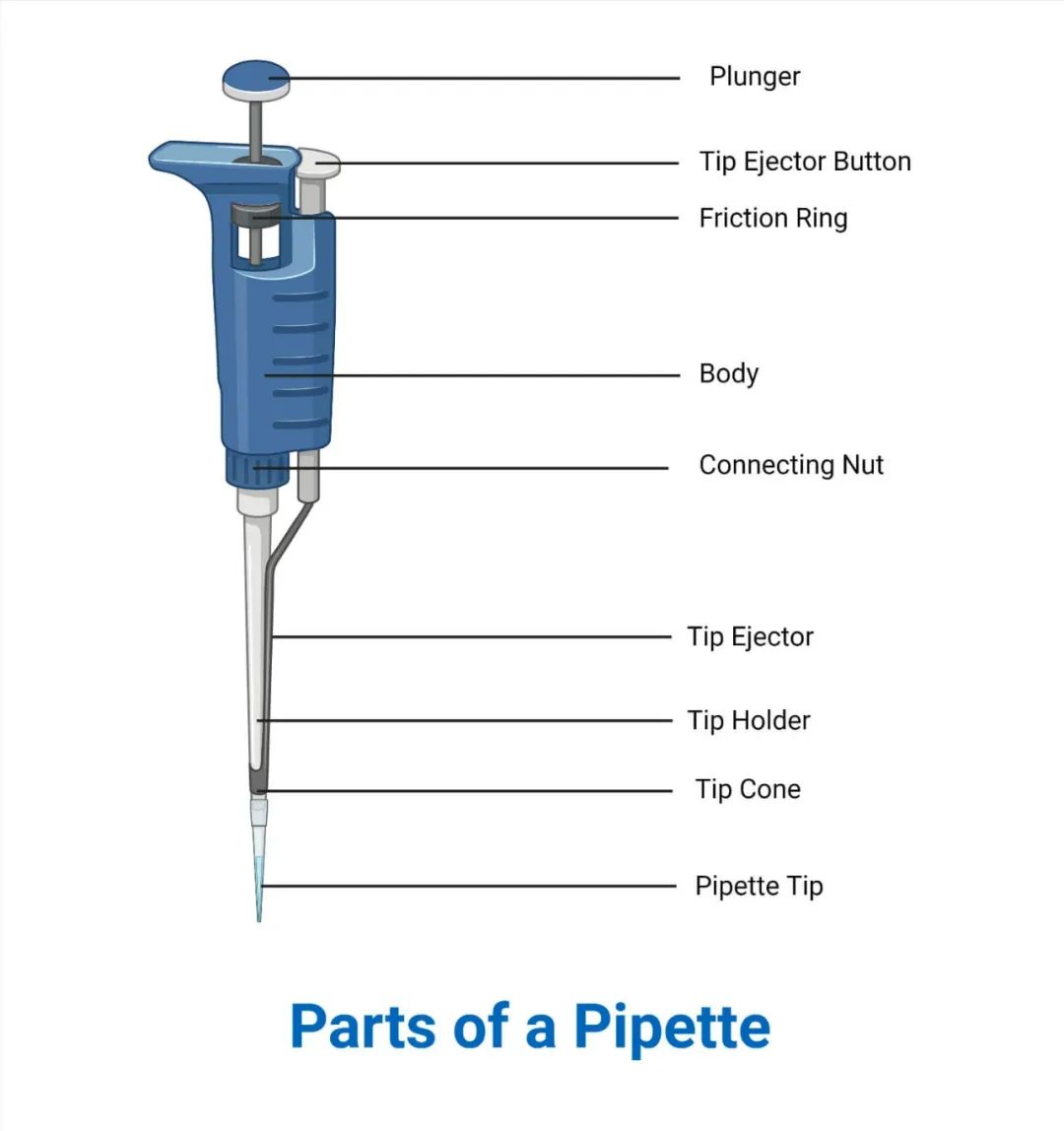 parts-of-a-universal-pipette.jpg