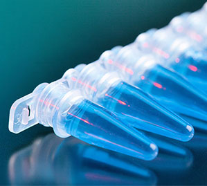 Pipette Tips for Liquid Trasfer