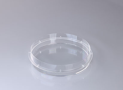 Non-sterilized Petri Dish